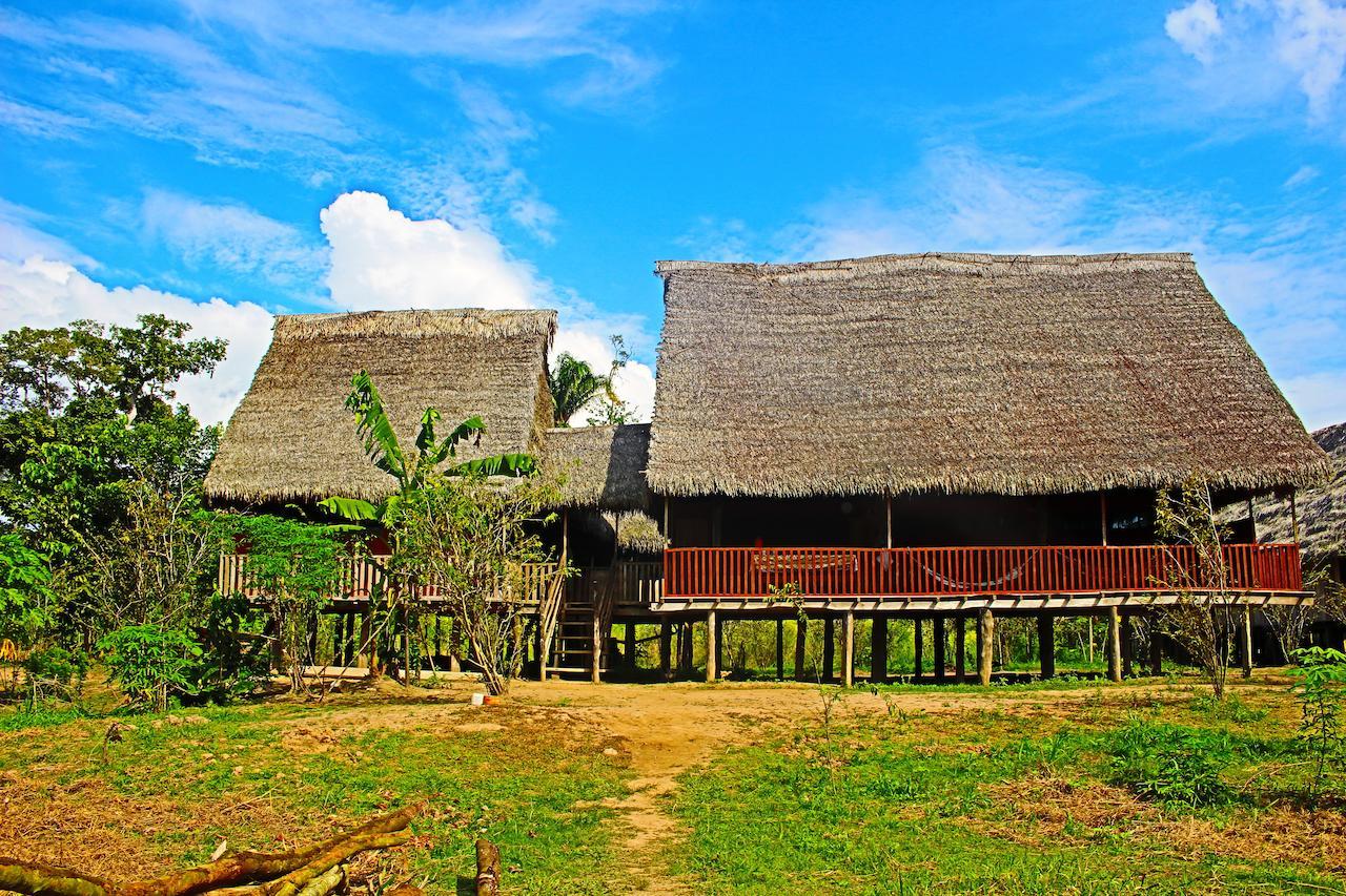 Tuqui Tuqui Amazon Yucuruche Bagian luar foto