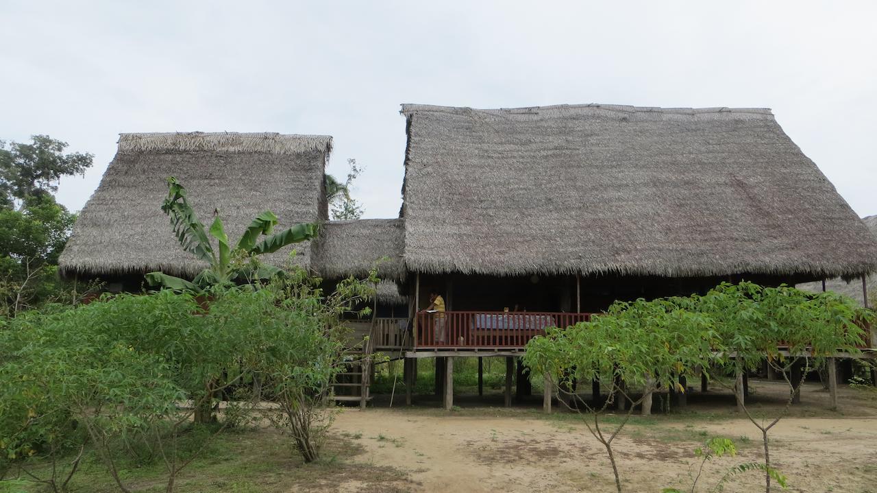 Tuqui Tuqui Amazon Yucuruche Bagian luar foto