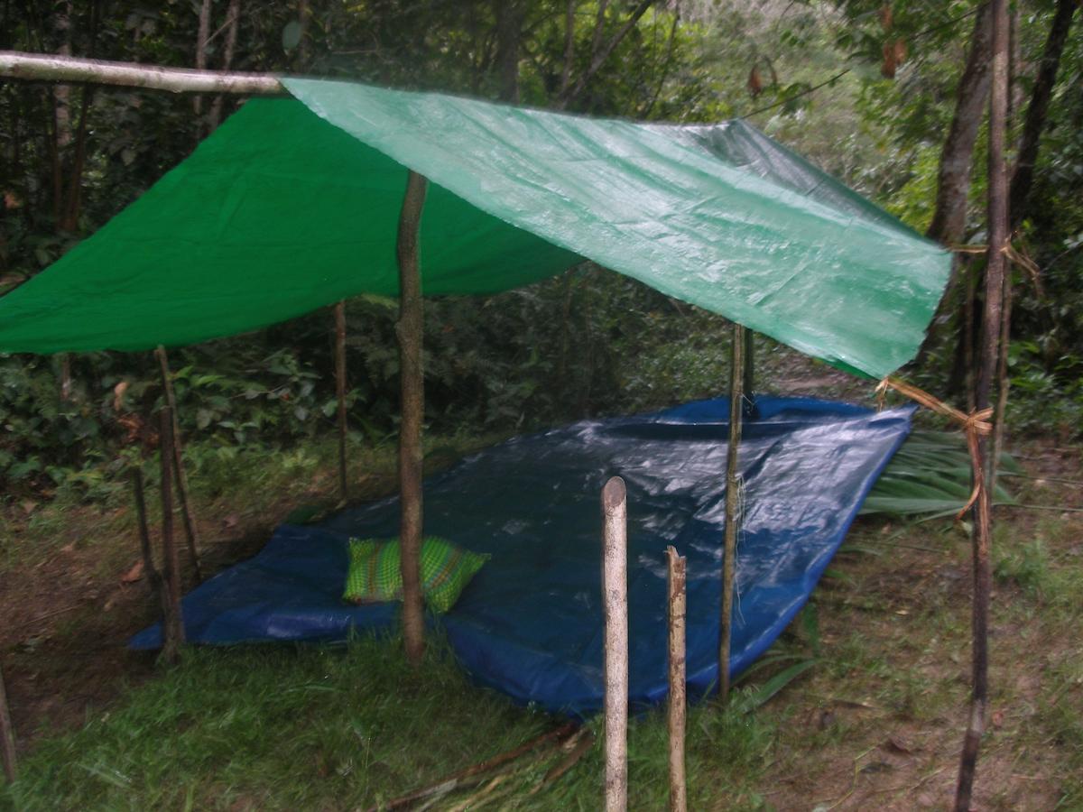 Tuqui Tuqui Amazon Yucuruche Bagian luar foto